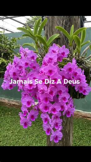 Irene Schultz on Reels