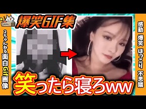 【2ch面白いgif】このgifで笑ったらすぐに寝ろｗｗｗ