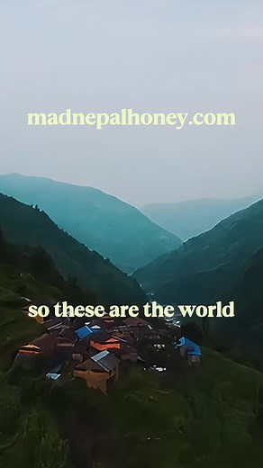 The mysterious Mad Honey that sits atop the towering Himalayan Mountains of Nepal is a sought after delicacy. www.madnepalhoney.com #madhoneynepal #madhoney #trymadhoney #joerogan #nepalhoney #nepalesehoney #crazyhoney #growth #madhoneyforsale #buymadhoney