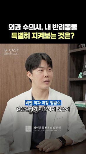 Surgeon Veterinarian, What Do You Specifically Watch Out For in My Pet?