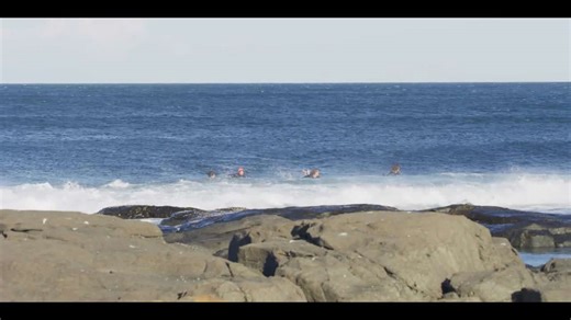 Great white shark chases surfers out of the water