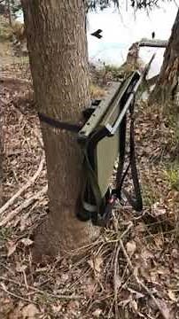 Millennium tree seat