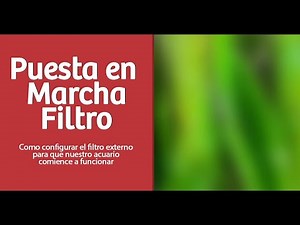 Puesta en marcha filtro exterior EHEIM PROFESIONAL