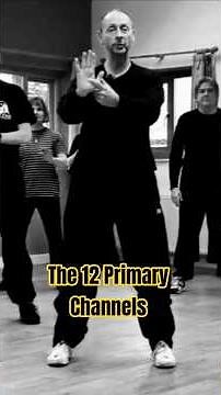The 12 primary channels, also known as meridians, are pathways through which Qi flows...