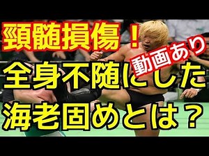 プロレスラー高山善廣は頸髄完全損傷「回復の見込みなし」原因の『回転エビ固め』とは？※動画あり