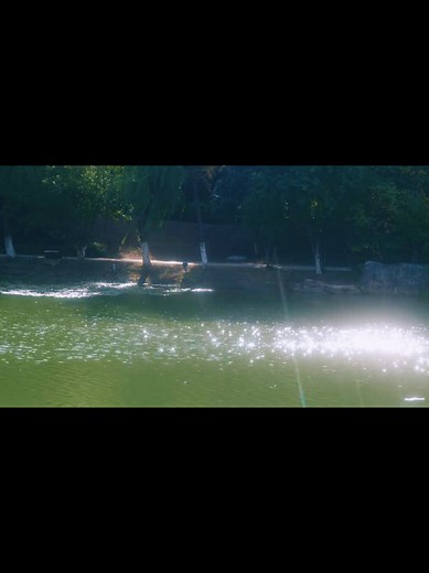 Chill Vibes and Nostalgia: Reliving the 90s