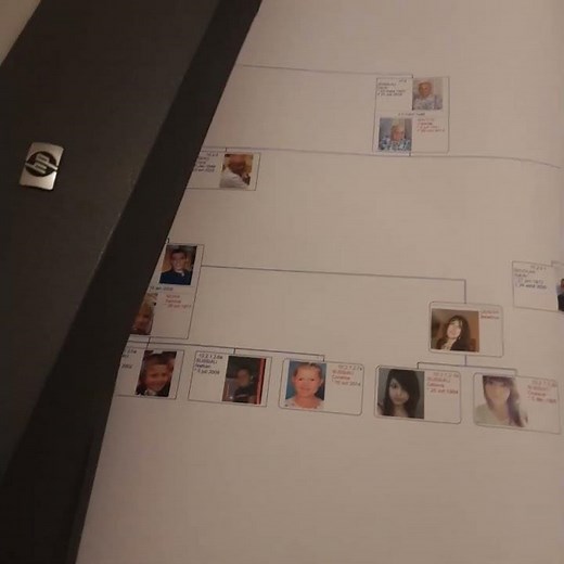 Impression d’un arbre généalogique #genealogie #arbregenealogique