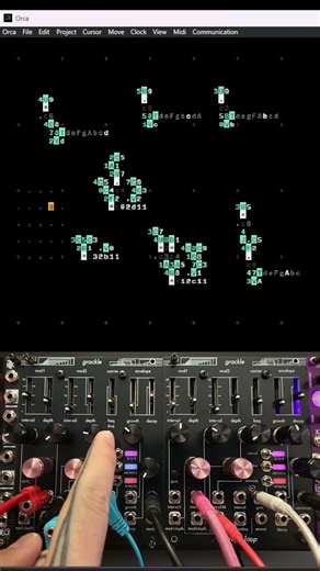 100R Orca + Entropic Loop Grackle #modularsynth