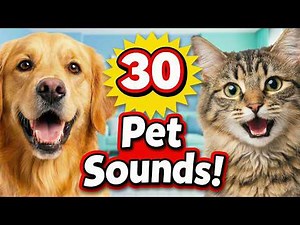 30 Real Pet Animal Sounds & Names for Kids | Animal Names for Kids | Fun Learning Video for Toddlers