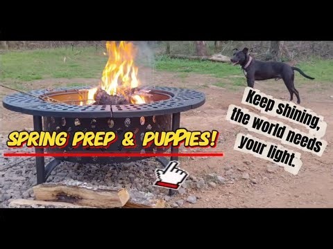 Spring Garden Prep & DIY Repairs: Planting Bulbs, Winter Rye, and Camper Maintenance!