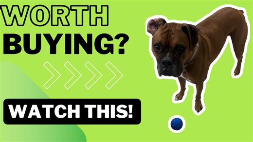 Watch HONEST Review of this Smart Interactive Dog Toy on Amazon Live