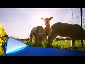STV ident 2016 - Spring - Long