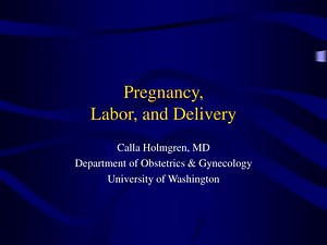 Pregnancy, Labor, and Delivery - SlideServe
