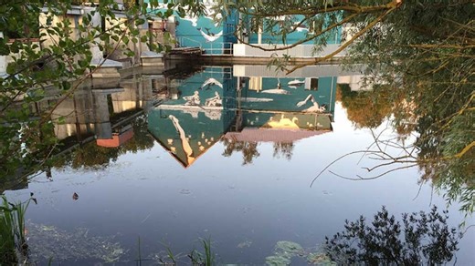 Así es el mural viral que es una trampa para la vista: solo puede observarse en el agua