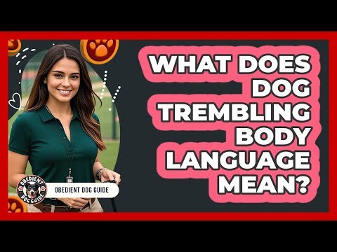 What Does Dog Trembling Body Language Mean?