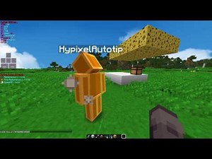 Sk1er Technical #2 :: F3+B does not display hitboxes