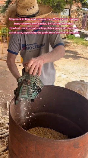 ​The Pioneer Way: Watch This Vintage Hand-Cranked Corn Sheller in Action #vintage #corn #farming