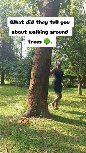 What did they tell you about walking around trees.