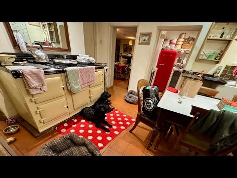 FlyLady Fail! I Didn’t Shine My Sink 💔