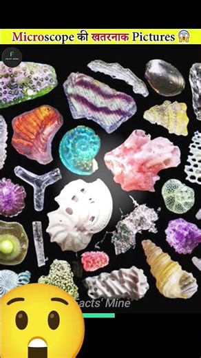Things That Look Amazing Under The Microscope #facts