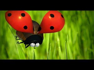 Minuscule S01E01 - La coccinelle | The Ladybug (4K 60FPS AI Remaster)