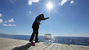 Heavy rains help to expand 'dead zones' in Long Island Sound, scientists say