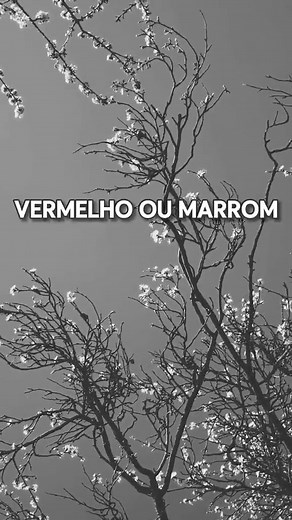 Porque Não Existe Flor Preta? Fatos Curiosos e Educativos sobre a Natureza