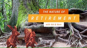 837K views · 1.4K reactions | Each ant in a colony contributes a little bit at a time. You can help your retirement savings grow by contributing small amounts regularly as well. Are you putting money aside every month for retirement? #NatureofRetirement | Voya | Facebook