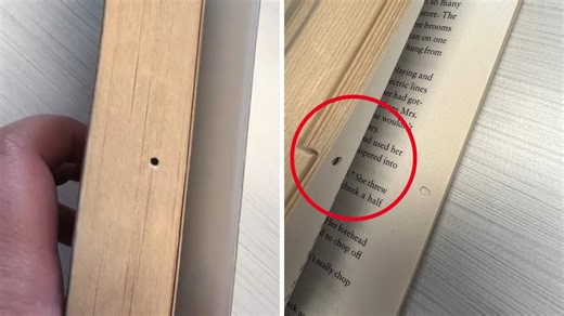 Librarian stuns internet with ‘proof’ that bookworms are real