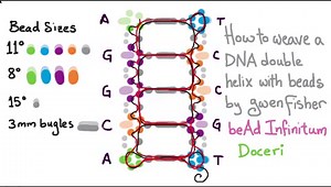 How to bead weave DNA double helix earrings