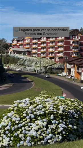 Odelto Roque Capeletti on Instagram: "Canela/Gramado RS Espetacular"