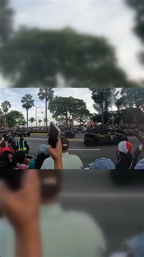 This Dominican Parade Crowd Was Insane #dominicanrepublic #newyorkcity #viral