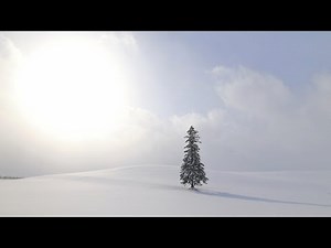 (映像旅行) 大雪山下的隱世靜謐in日本北海道旭川、美瑛(第3集) feat.緩慢北海道民宿