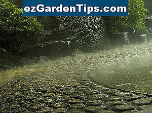 Comment la pluie acide affecte-t-elle les plantes et les arbres? 🌱 Conseils Jardiniers - Fr.ezGardenTips.com