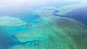683K views · 1K shares | The Great Barrier Reef is as spectacular as you've always dreamed. Stretching for 1400 glorious aquamarine miles along the Northern Queensland coast, a visit to this natural wonder is an absolute must. Visit Queensland, Australia | Scuba Diver Life | Facebook