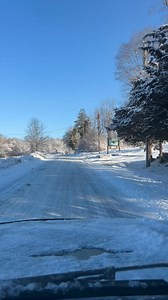 QK in the CT Snow! | Quinebaug Kennels: QK Dogs