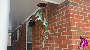 Watch See How Hummingbird Solar Lights Look Great Day and Night on Amazon Live