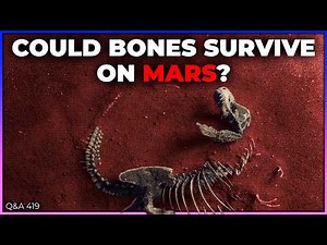 Would We Find Skeletons If Mars Ever Had Life? | Q&A 419