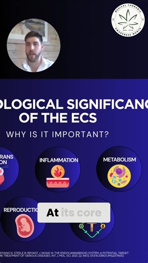 How the ECS maintains internal balance and its therapeutic potential | Global Cannabinoid Solutions posted on the topic | LinkedIn