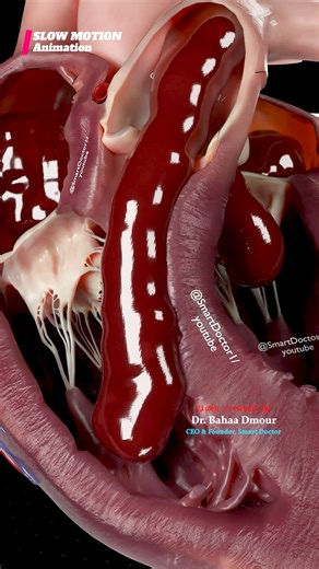 Smart Doctor | SLOW MOTION HEART | The Ultimate Blood Pump 🫀 - - The human heart is a fist-sized super pump that never rests. Beating over 100,000 times a... | Instagram