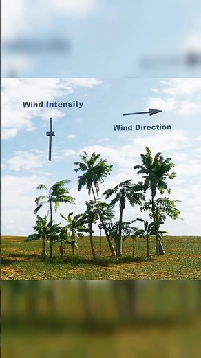 DYNAMIC TREES WIND PHYSICS | With Cloth Simulation and Wind Force Field in Blender