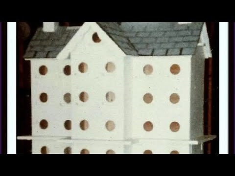 PURPLE MARTINS: HOW TO ATTRACT THEM & START UP & MONITOR A SUCCESSFUL COLONY! BY FRANK CATANZARO....