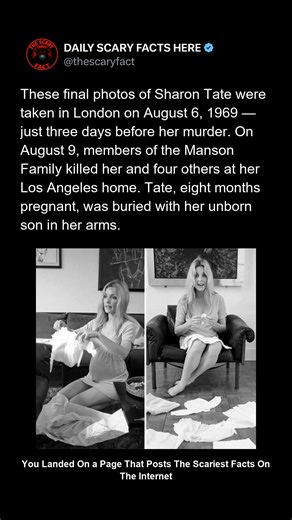 Thescaryfact ™ on Instagram: "Actress Sharon Tate posed for her last photographs in London on August 6, 1969, radiating joy just three days before her brutal murder. On August 9, members of Charles Manson’s cult invaded her Los Angeles home, killing her and four others. Eight months pregnant, Tate was buried with her unborn son, Paul Richard Polanski, in her arms — one of Hollywood’s most heartbreaking tragedies that still haunts film history. 🔴 Follow @thescaryfact for more haunting stories fr