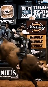 201K views · 7.6K reactions | It was the ride heard ‘round the world!...