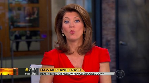 Hawaii official killed in small plane crash