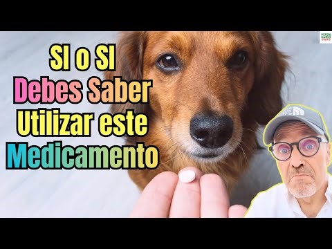 🐶🩺Your dog will definitely need this medication more than once in its life (how to use sucralfate)🐶🩺