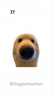 35K views · 6.5K reactions | Doggie Explains How To Disappear Sometimes a pup needs to vanish — not to run away, but to find peace. Step one: stop barking. Go quiet. Let the noise pass. Step two: sniff out a safe place — no drama, no fleas. Step three: don’t post every pawprint. Real disappearing means real distance. It’s not about hiding forever… just long enough to heal, grow, and wag again on your terms. #dogs #dog #education ️ | Doggieteaches | Facebook