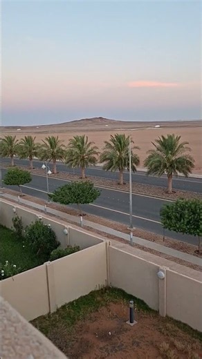 Stunning Desert Horizon & Road View in Saudi Arabia #DesertSunset #SunsetView #NatureVibes #shorts