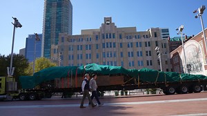 Tallest live Christmas tree in Texas arrives at Sundance Square Plaza