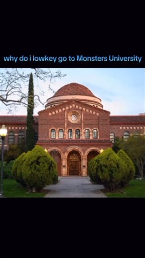 I'm Shmacked on Instagram: "They might be on to something… #onlyinchico"